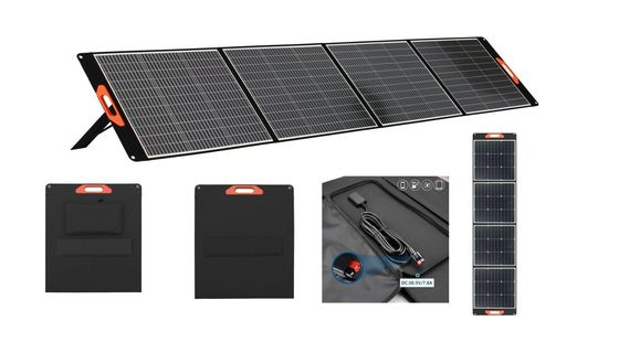 Monocrystalline Silicon PV Module 100W 200W 300W Panel Surya Pemerintah